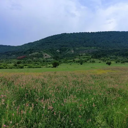 Farm stay Etno Kuca Nikolov *