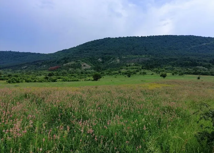 Smještaj na farmi Etno Kuca Nikolov *