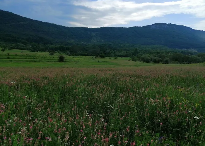 Etno Kuca Nikolov * Dimitrovgrad